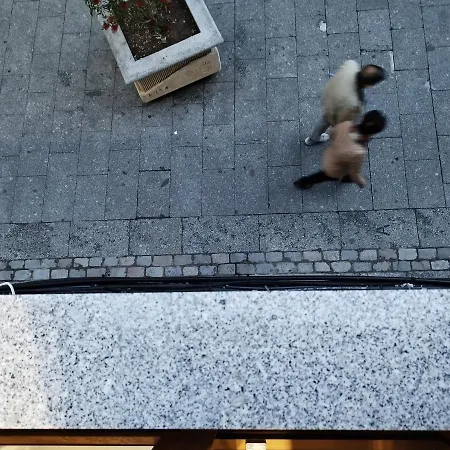 Patrimonio Historico